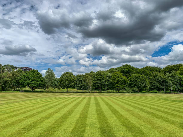 A pristine, freshly mowed green lawn in Wellington by ChoppaLawnz